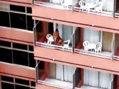 成人假阳台的年轻男同的玩具
